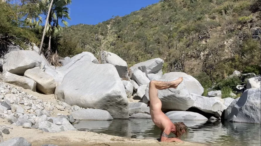 Scorpion in Baja  by Dirtydesertcowboy