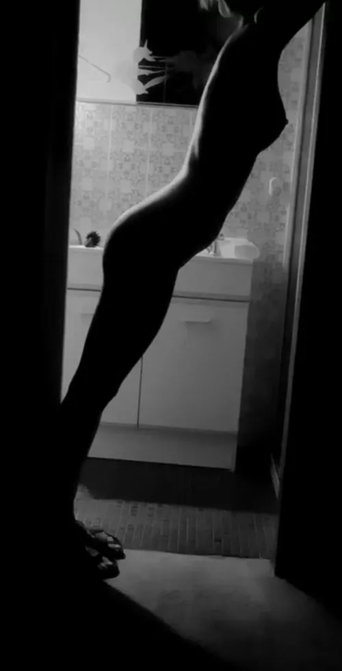 Silhouette image  by Quietpuppycat