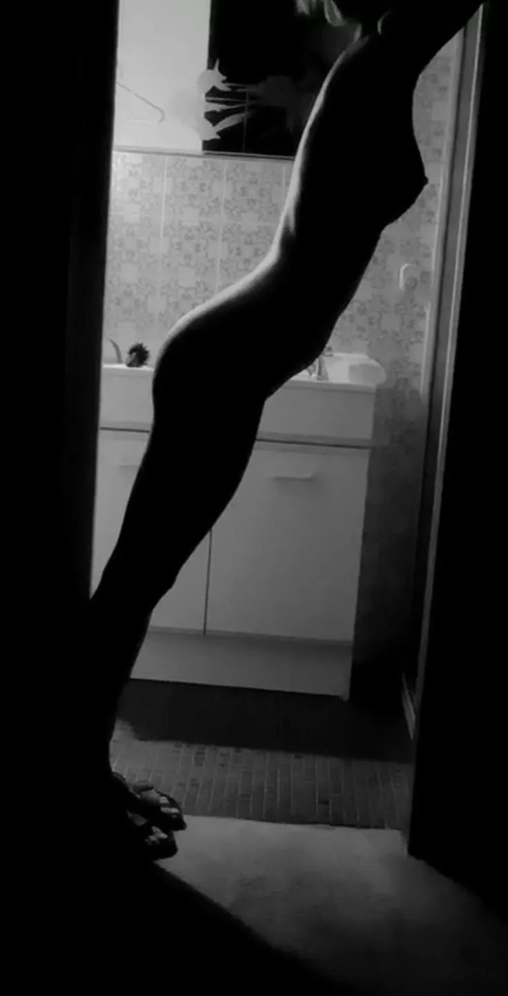 Silhouette image  posted by Quietpuppycat