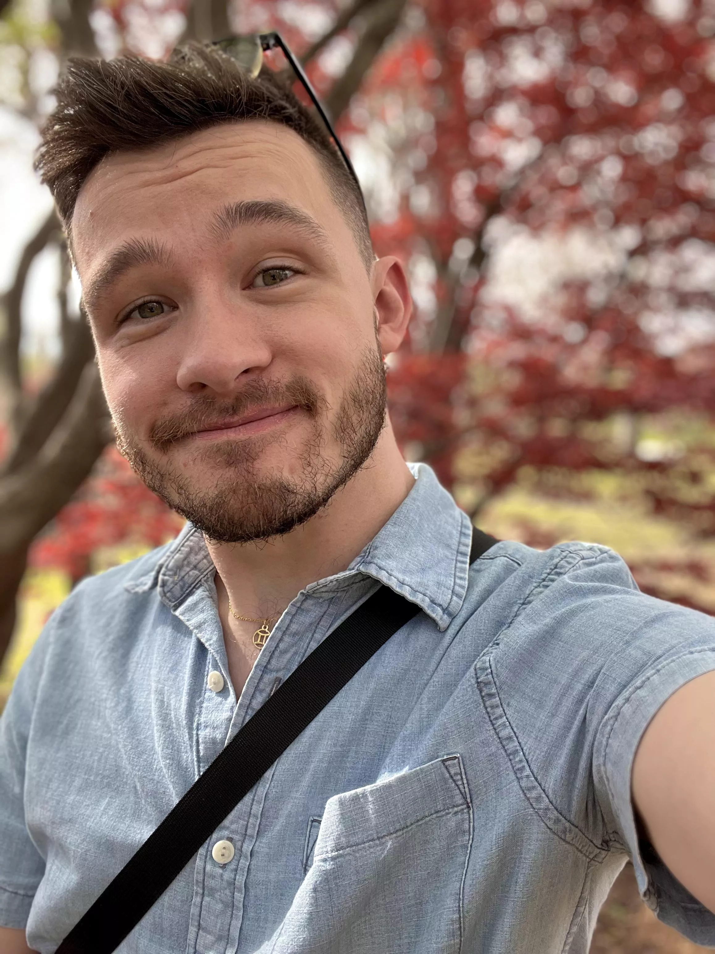 Spring, my favorite season! 🌸 posted by UsedResolve6593