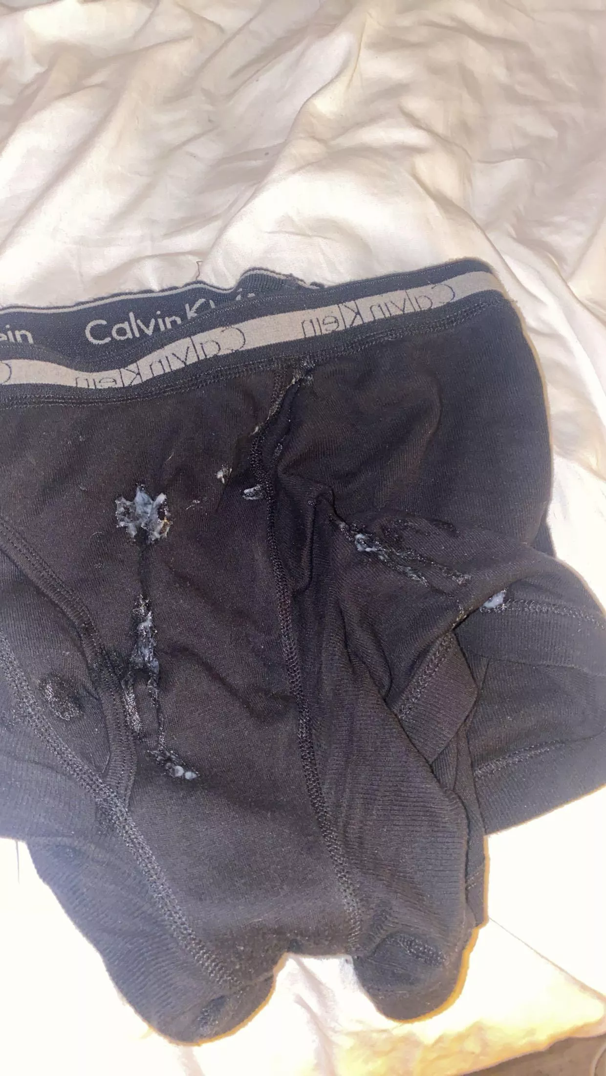 What would you do if you found these? posted by Guxrito