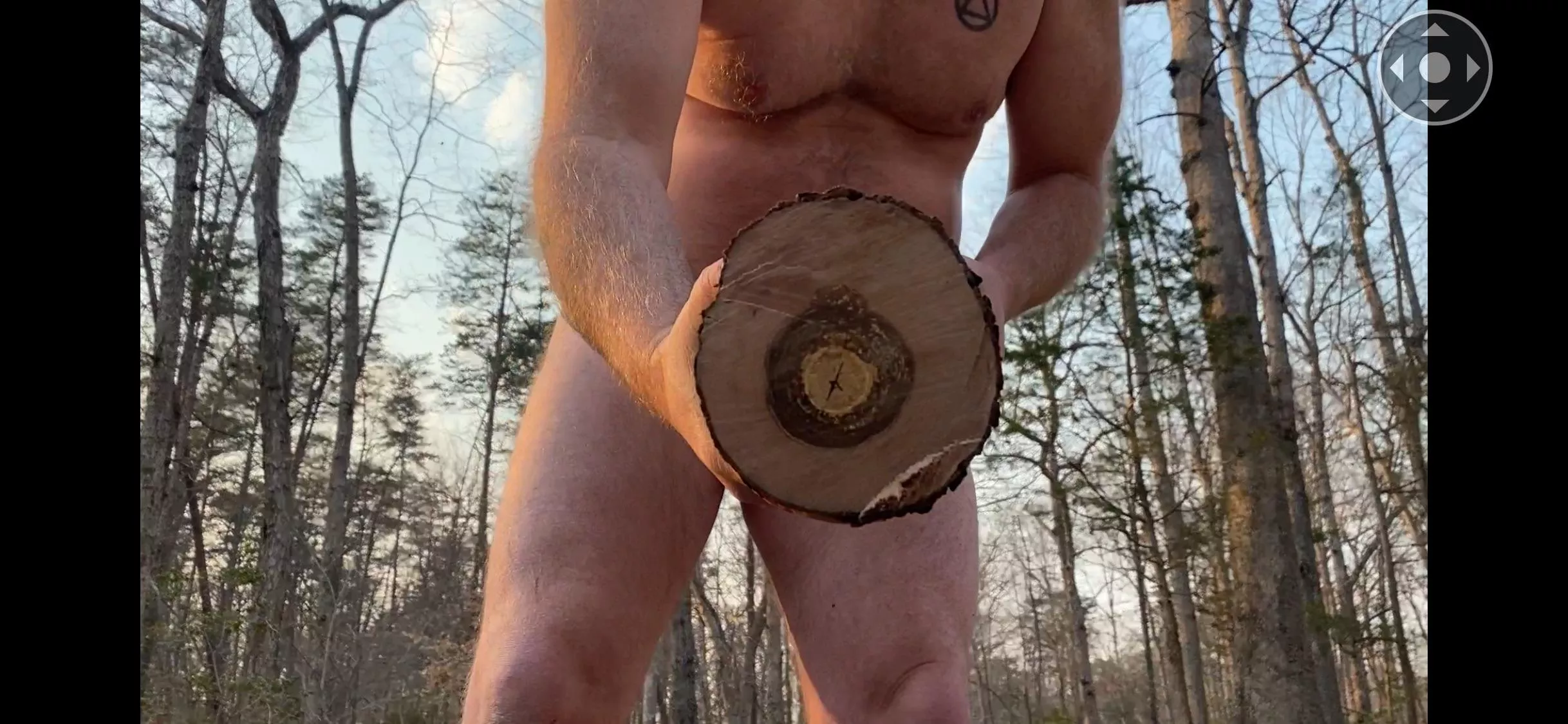 Wood? posted by CaughtOutsideNaked