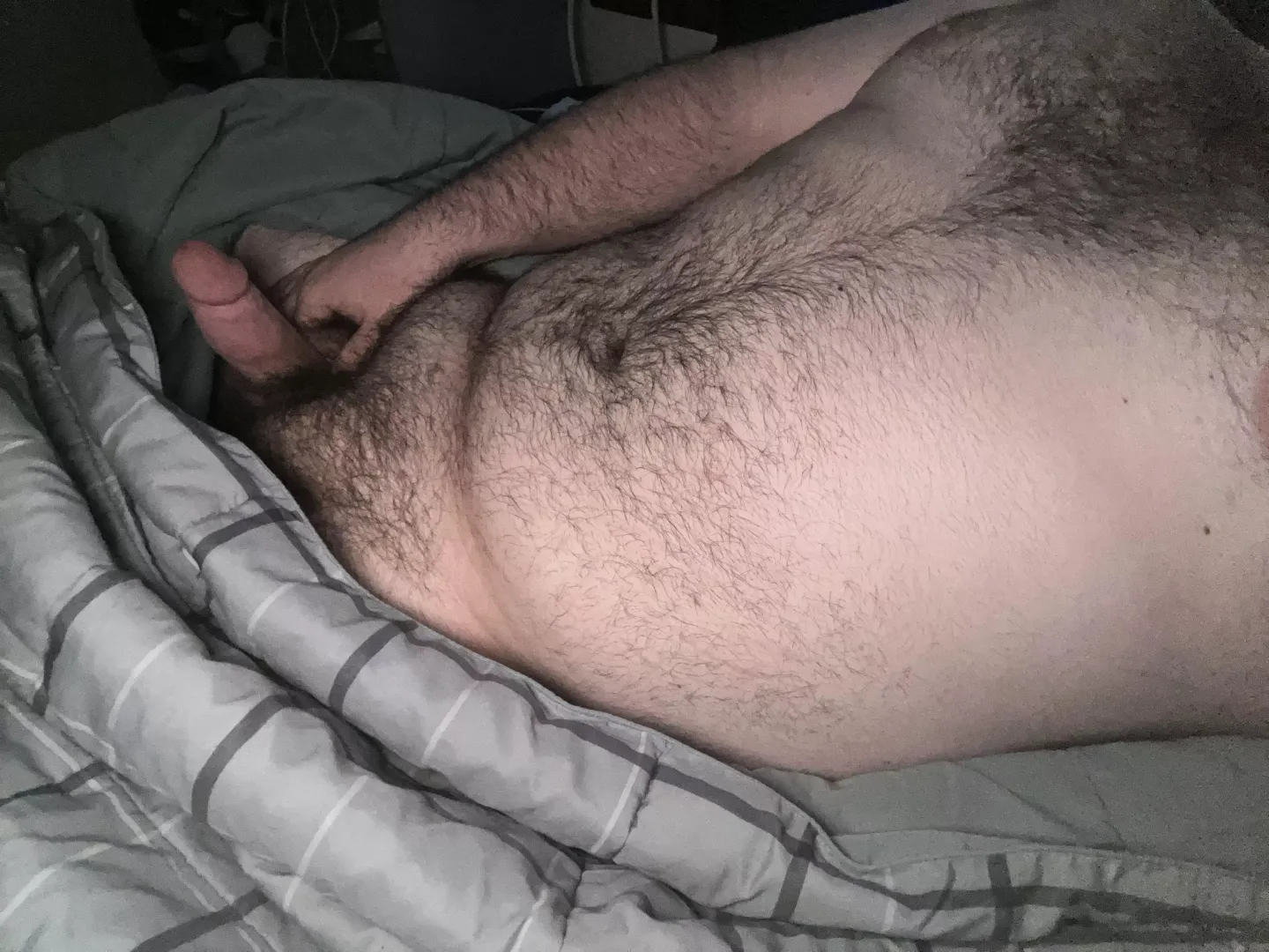 21 college bear needing some real bears to teach and train me  by AdPure1420