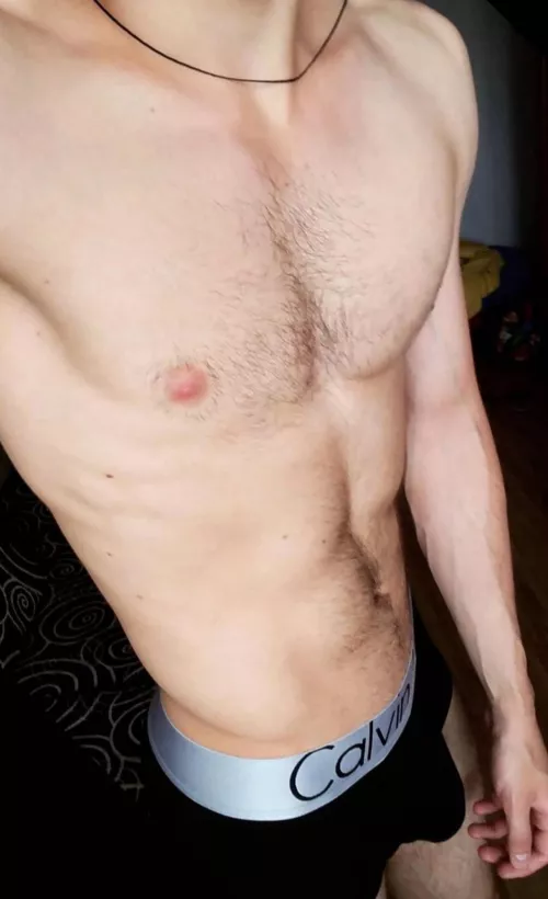 23 archibaldgrey by jsjwkwywgqha