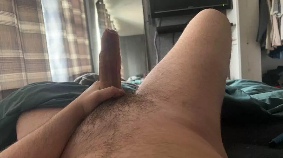 23, Hung dom here, looking for femboys, sissies and bottoms. Dm me posted by 20010917