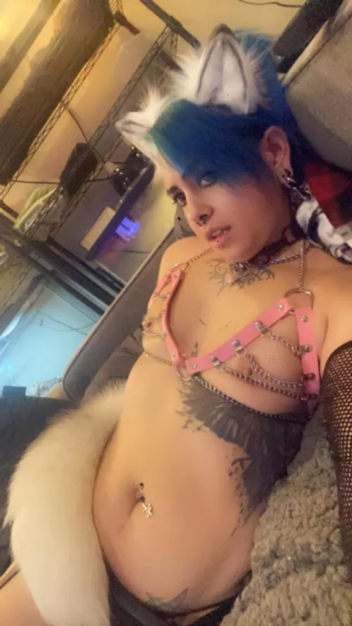 a better or worse encounter than the easter bunny? by GothicPup715