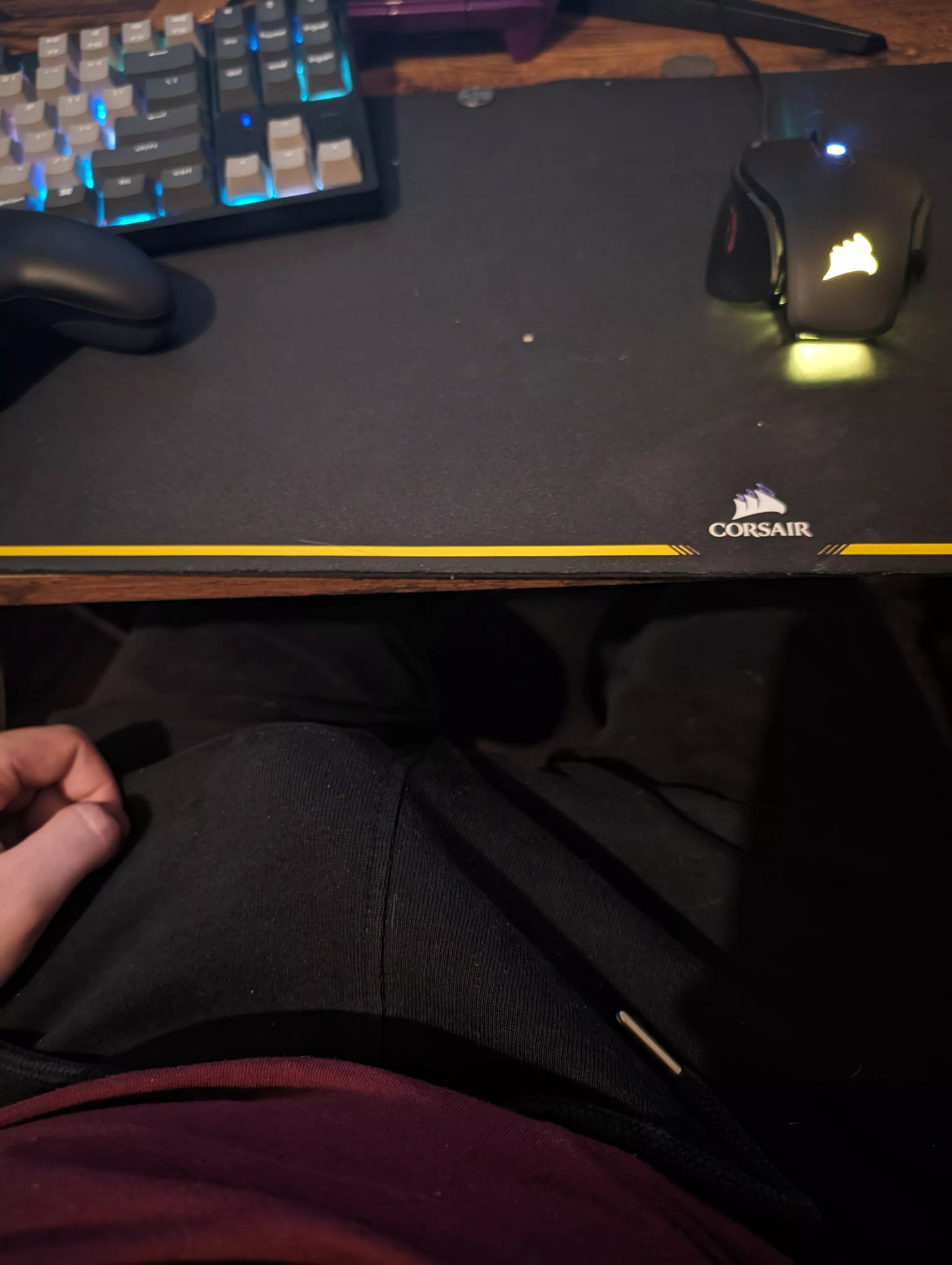 Anyone wanna help me out under the desk? ;) posted by Left_Animator_9790