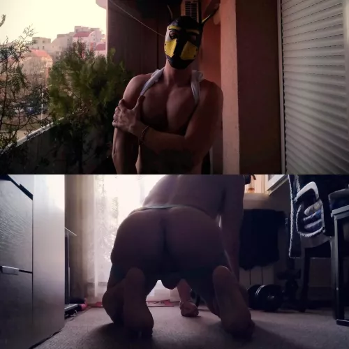 Dinner for my pupsband 🐶 by Loose_Opposite_5975