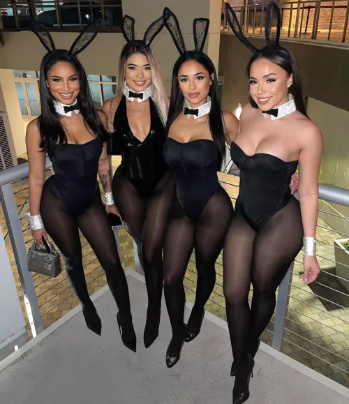 Easter Bunnies by Virtual-Pressure-948