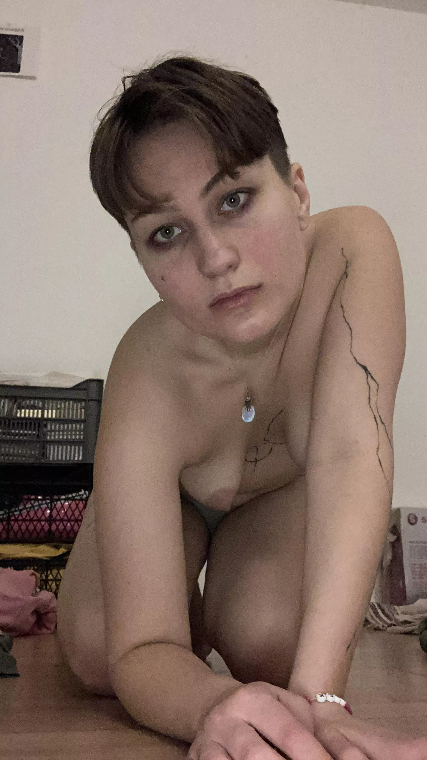 everyone wants to conquer everyone all the time posted by nianovice