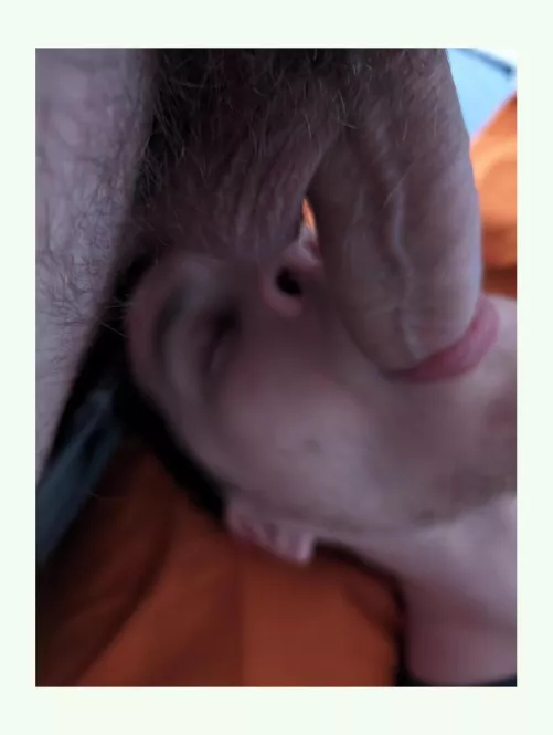 Feeding the Twink bextdoor by Consistent_Cloud_192