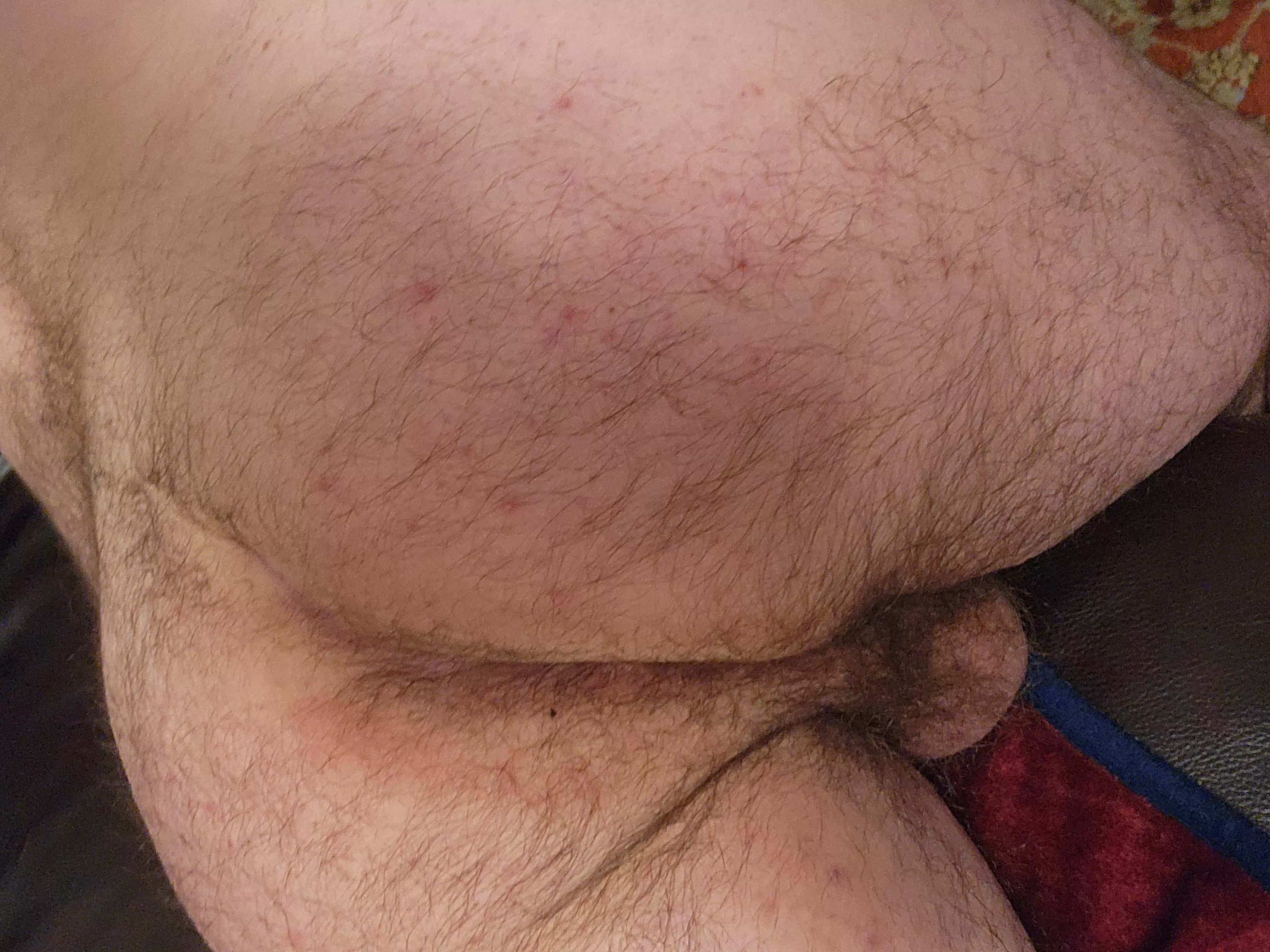 Feeling furry posted by Equal-Station-2275