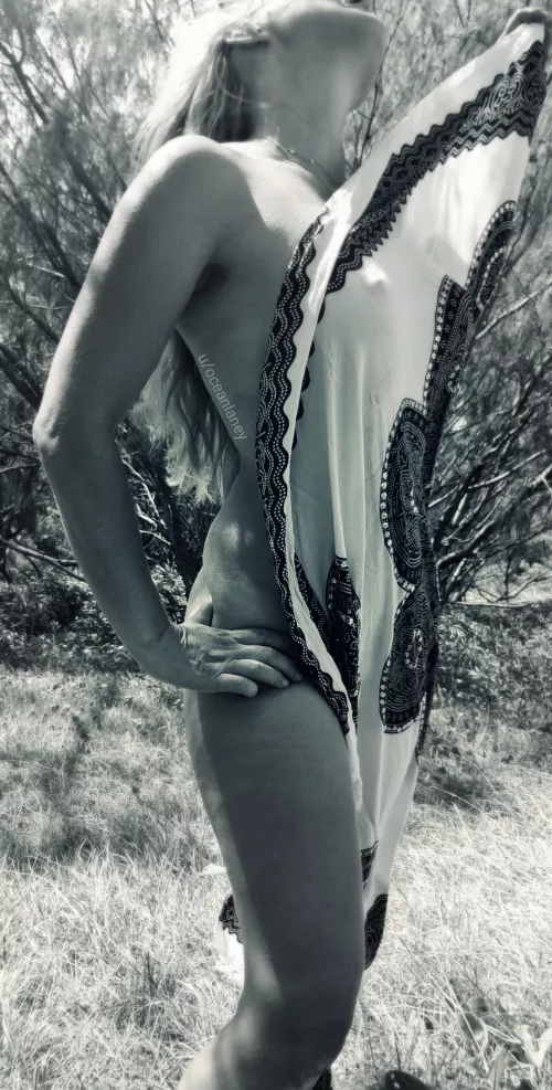 Fluid motion by oceanlaney