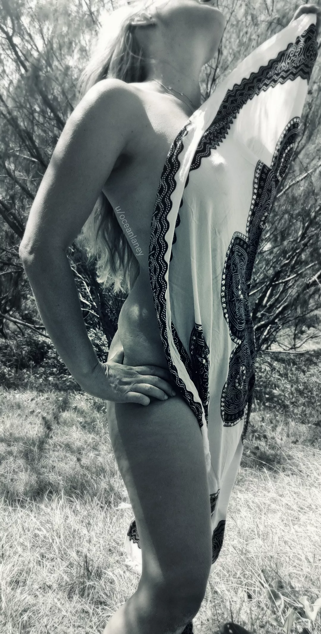 Fluid motion posted by oceanlaney