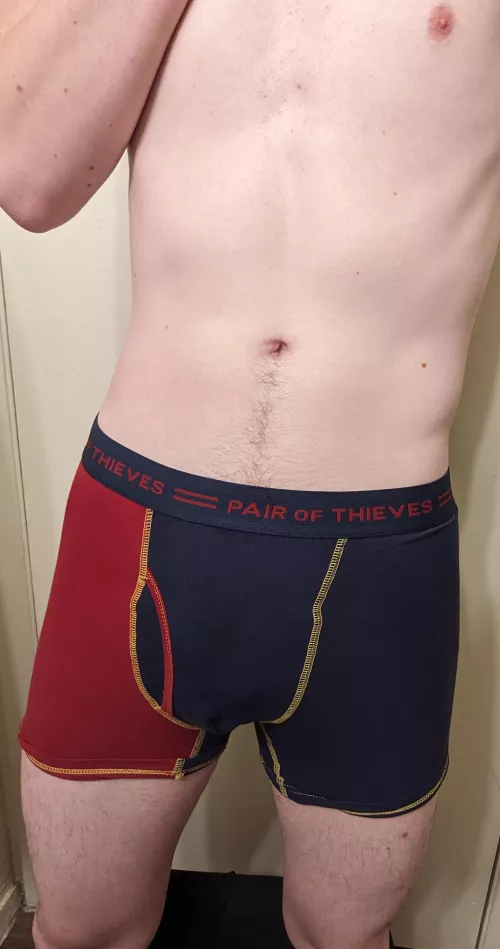 Red and blue pair of thieves  by NudePlankingFox