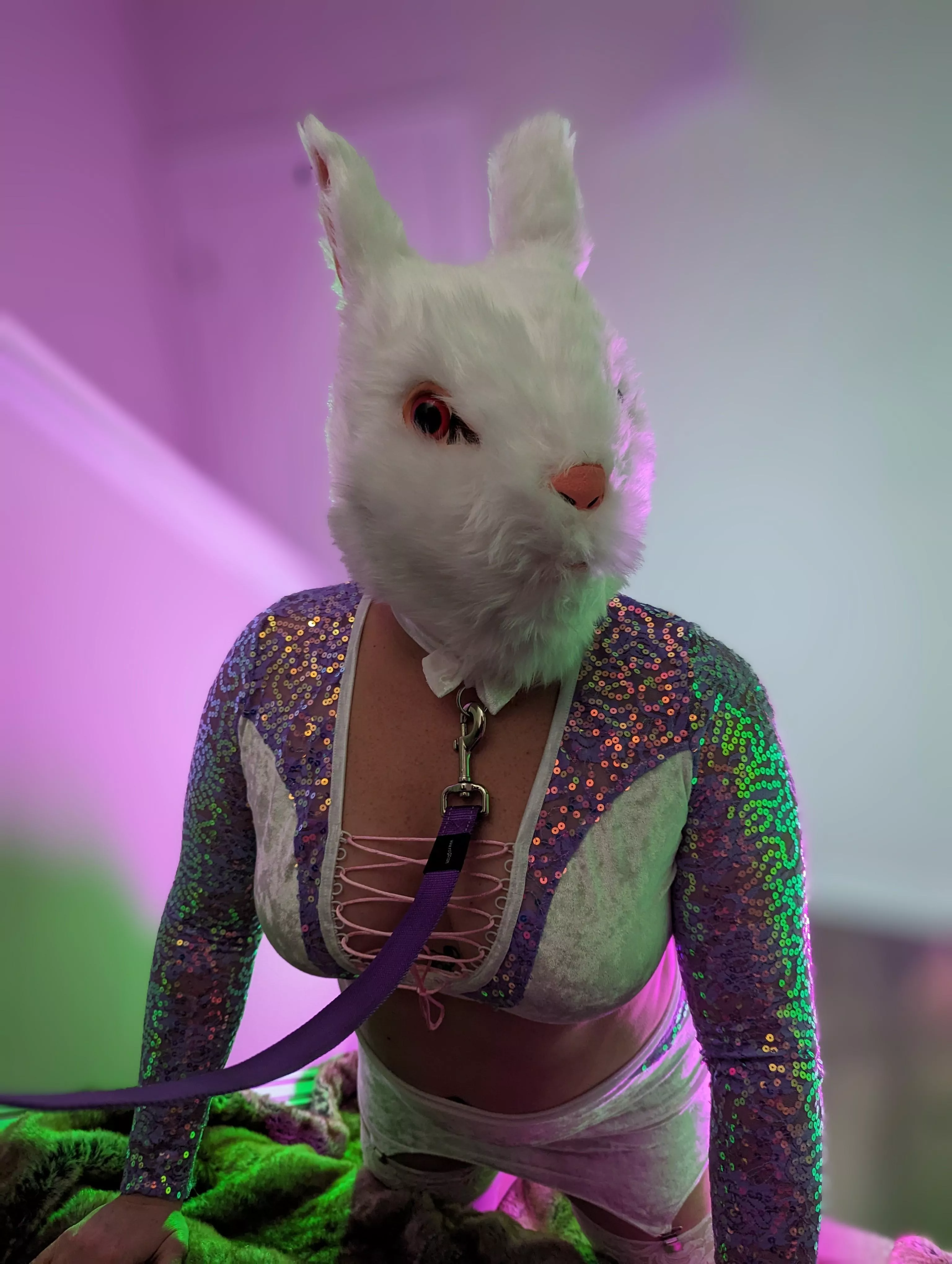 This naughty bunny wants to play  posted by CdeFuk