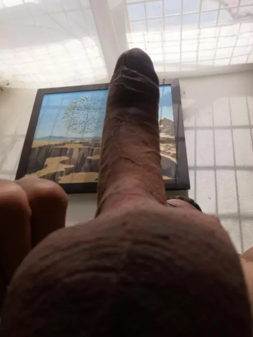 What about this View? by Training-Bison6637