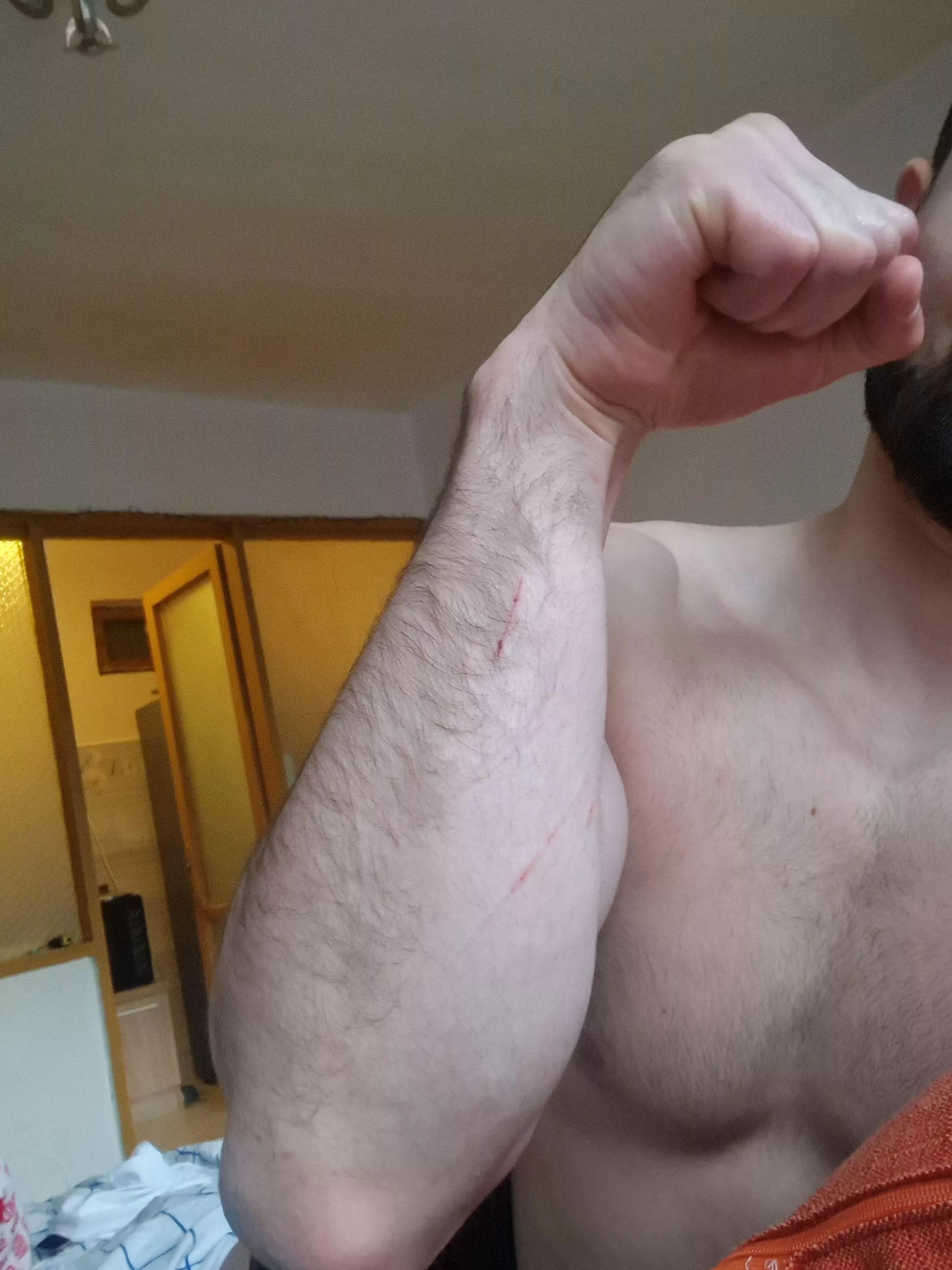 What do you think posted by Busy-Investment8158