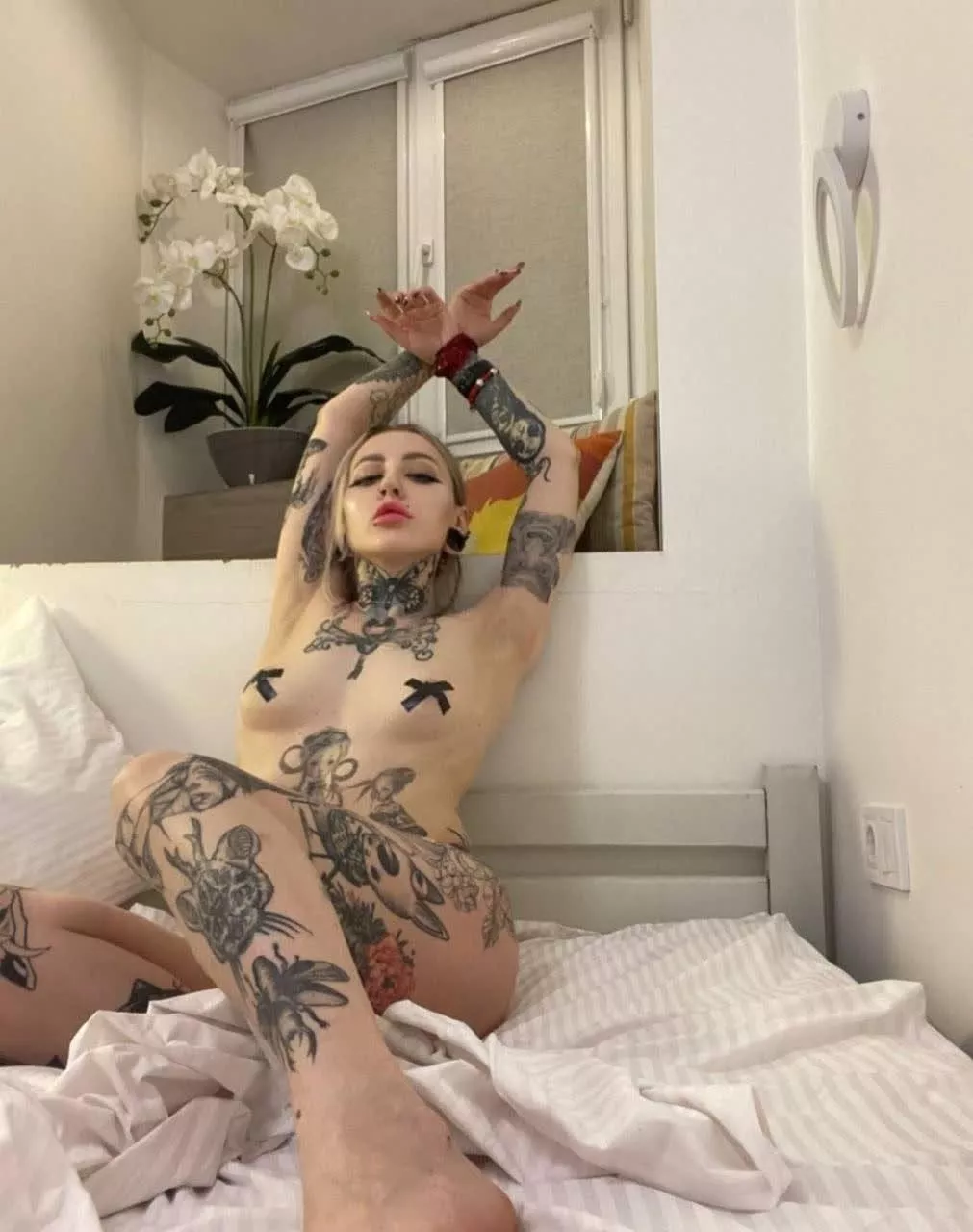 Would you like to taste them? posted by Aggressive_Jelly1331