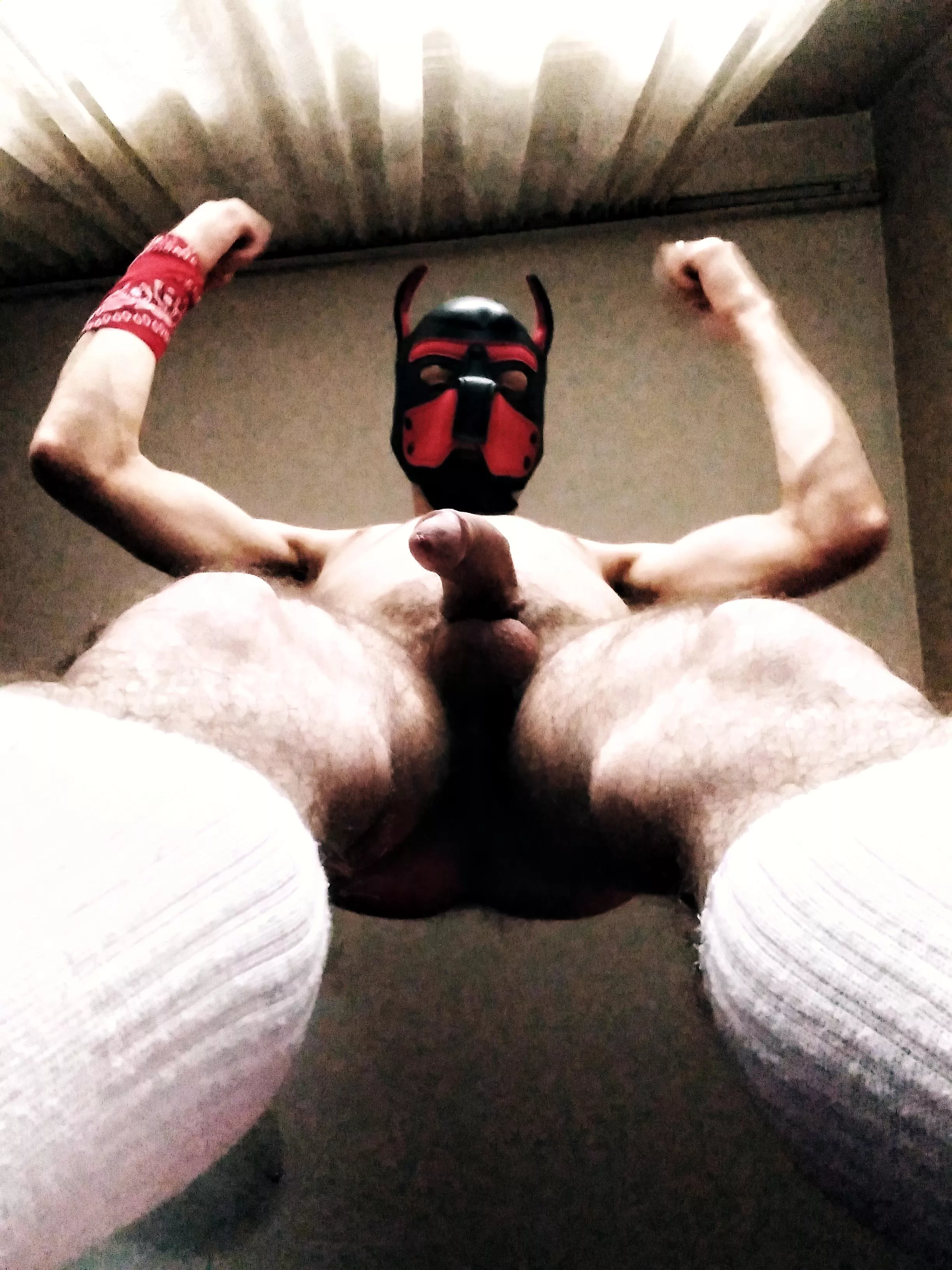 Your PoV posted by LupinusThePup