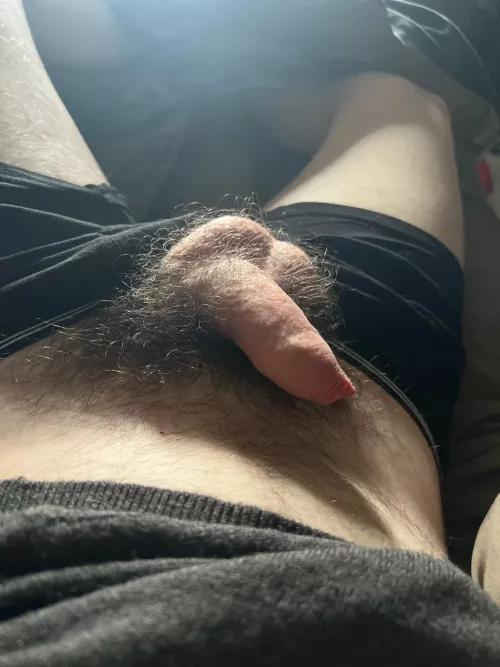 20 year old Irish softie by throw6608