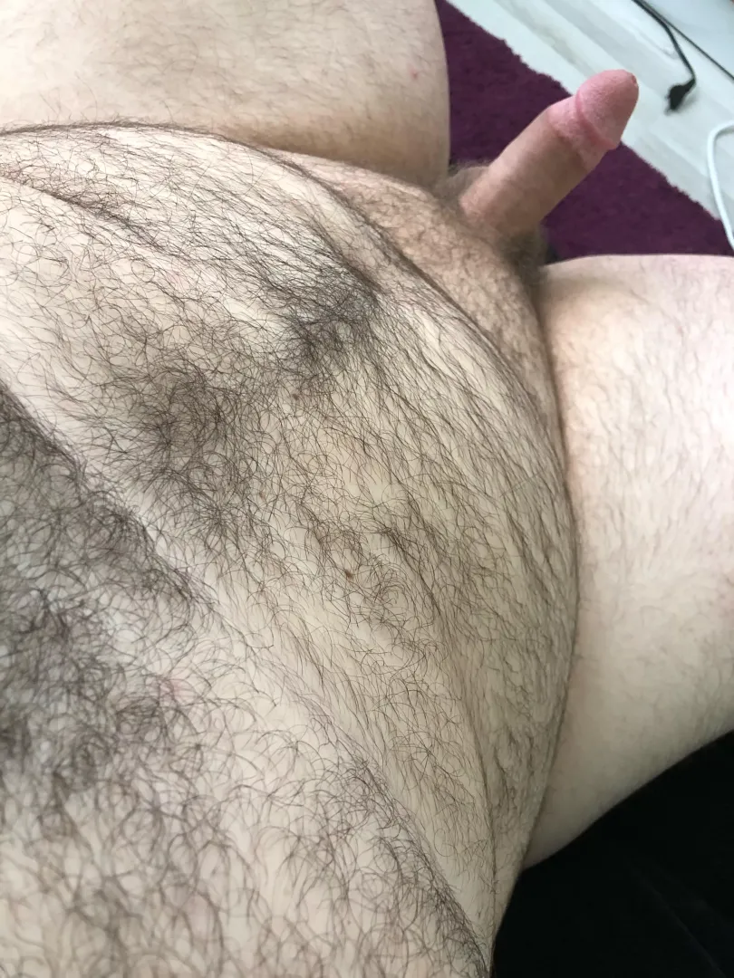 Am i bear enough? If so feel free to dm by Crafty-Guide5422