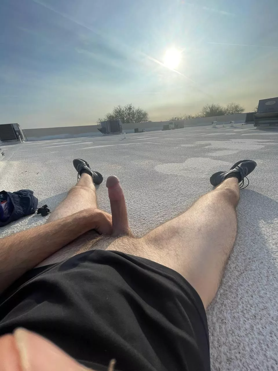 Catching some sun on the roof at work posted by HiddenKinks09