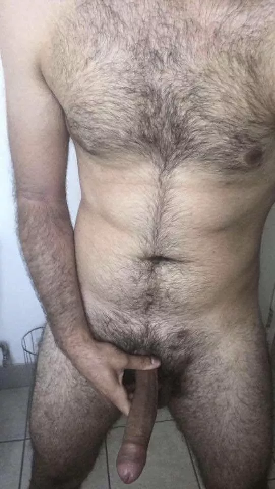Chest hair and long uncut cock, anyone? posted by dicktanteeth123