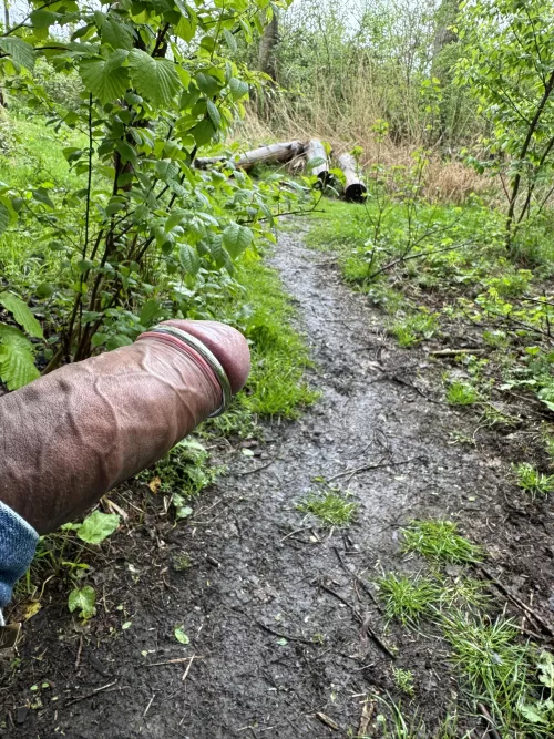 Follow the trail… and taste the rainbow… by thatdroolguy