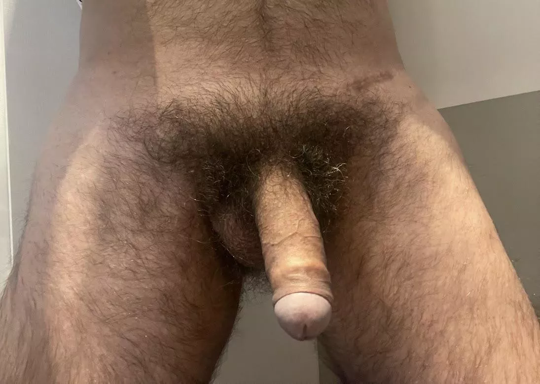 Full bush... posted by ChubbRock88