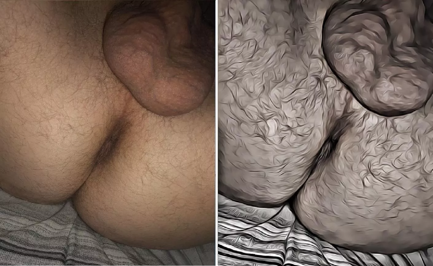 Fuzzy Real & Cartoon posted by Uncudragon9458