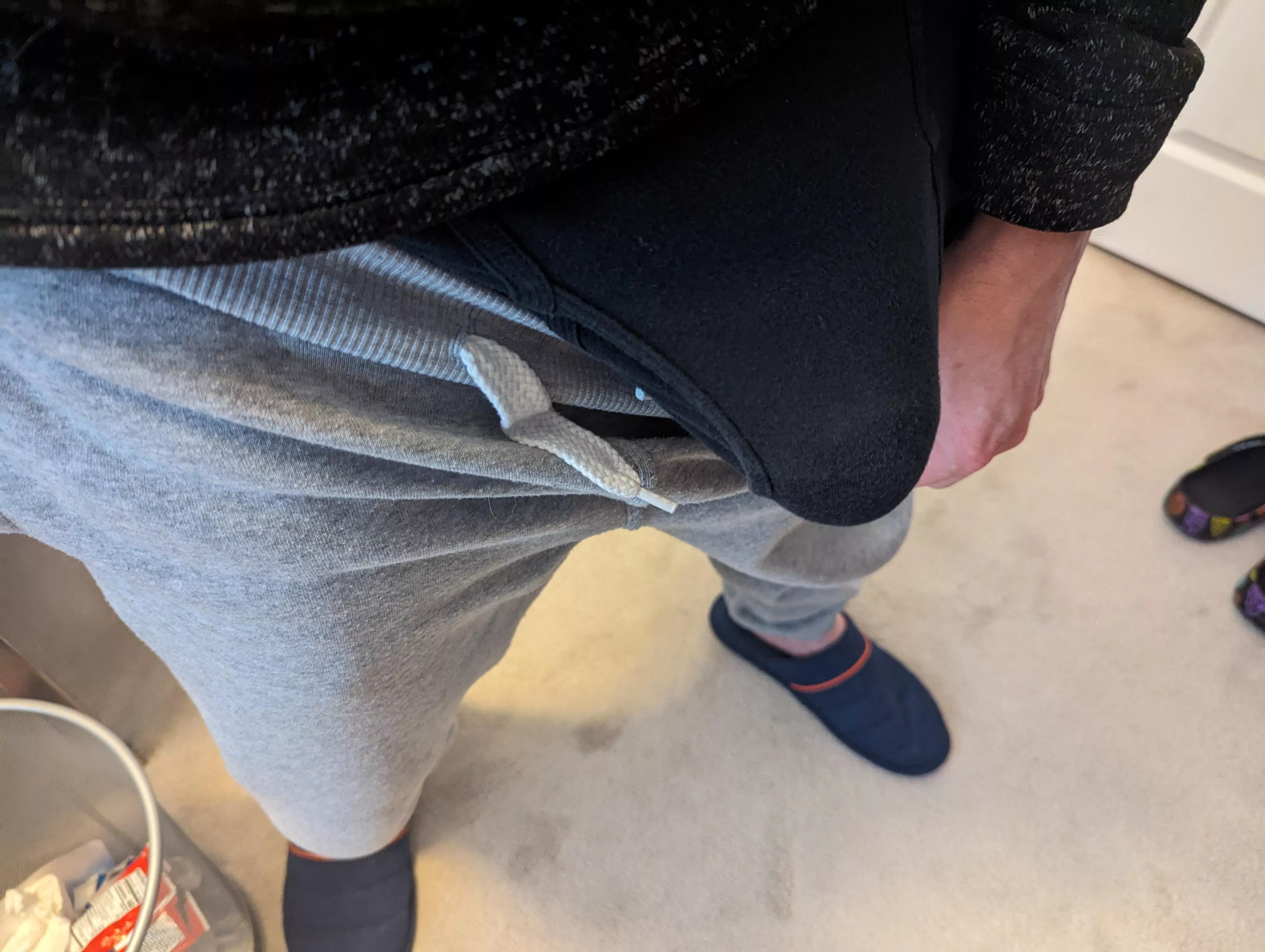 Just enjoying some nice scenery  posted by MolluskEnthusiast