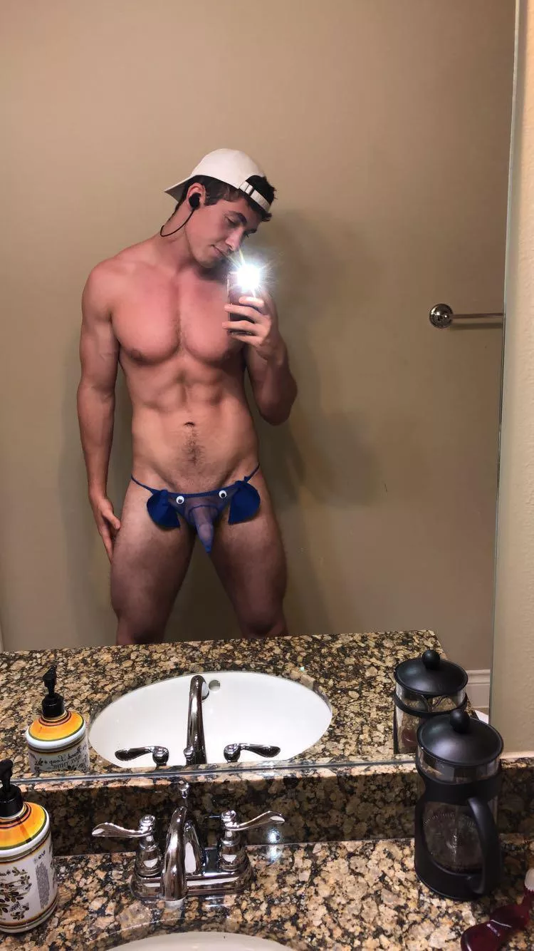 Play with my pet elephant? posted by Jackpackage71