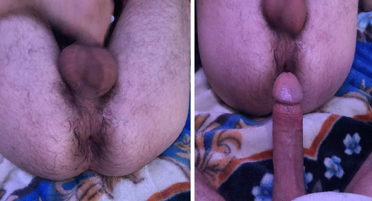 Sexy Hairy Bottom, I'm The Top by Uncudragon9458