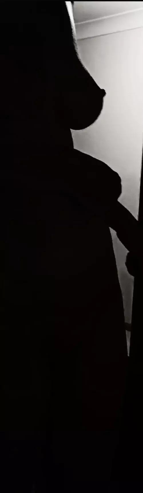 Silhouette  by Quietpuppycat