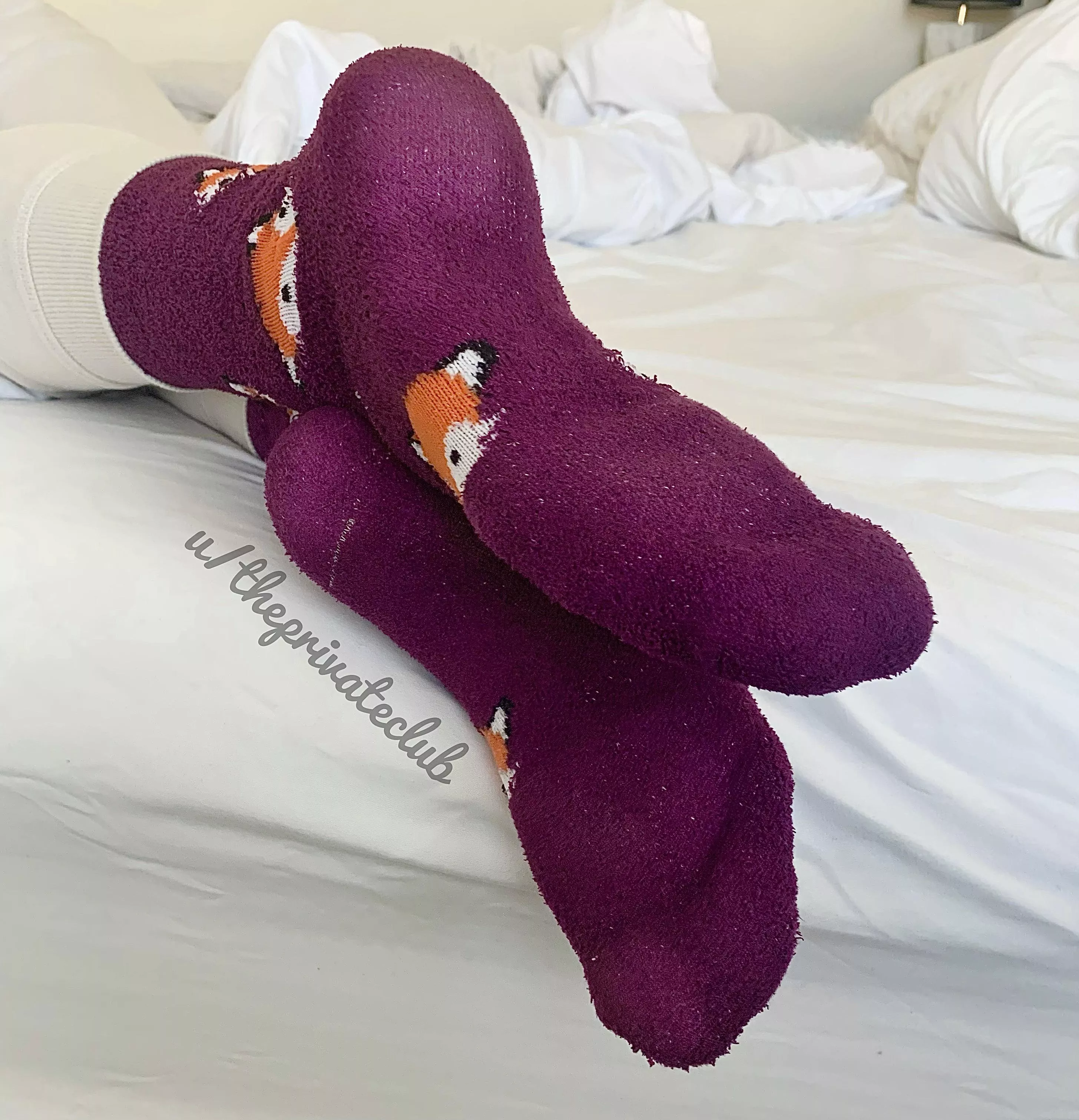 Snuggle up to my fuzzy socks! posted by ThePrivateClub