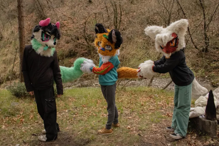 Tail chain! How long is your tail? by __lime_doggo__