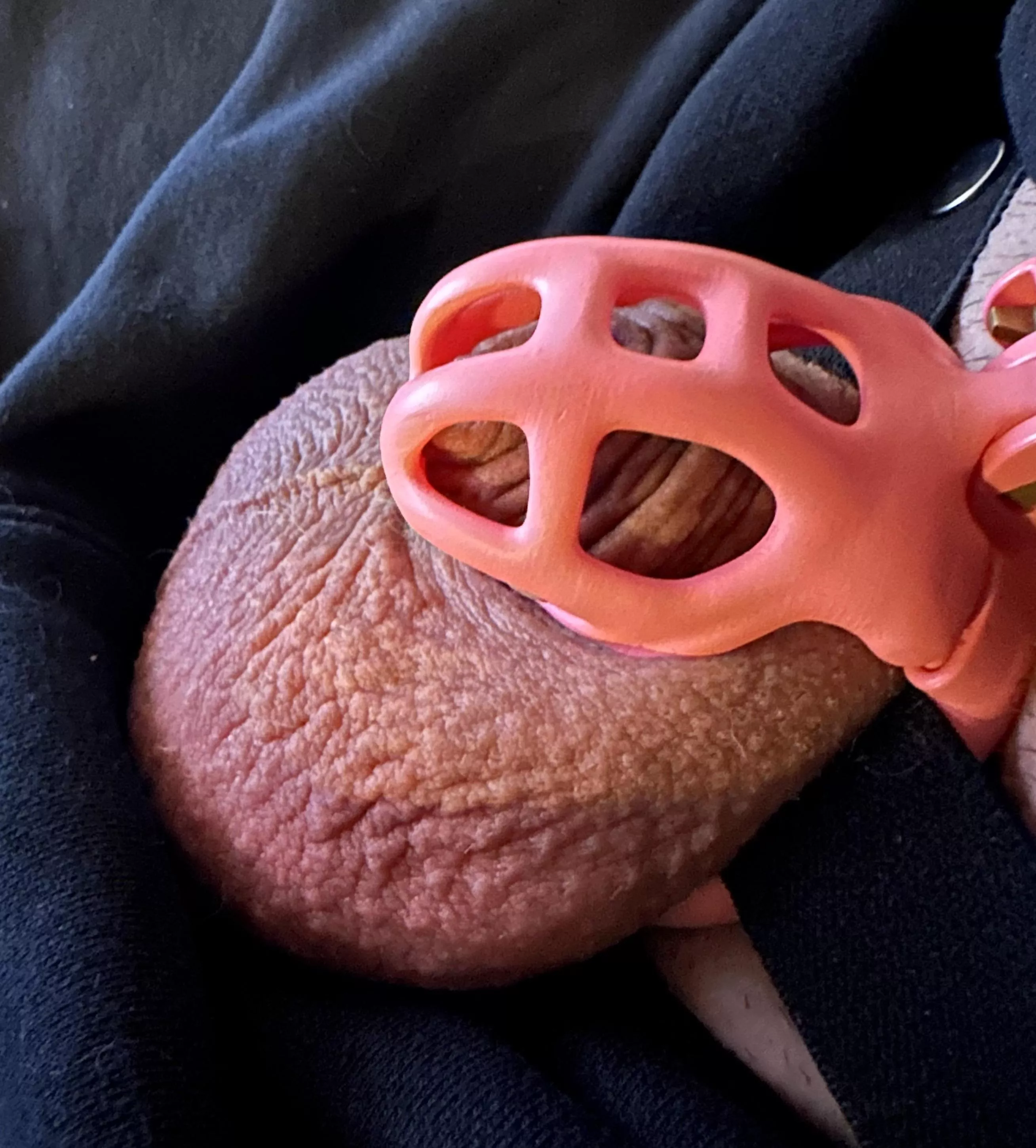 This cage is roomy 😅 posted by Chastity4eva