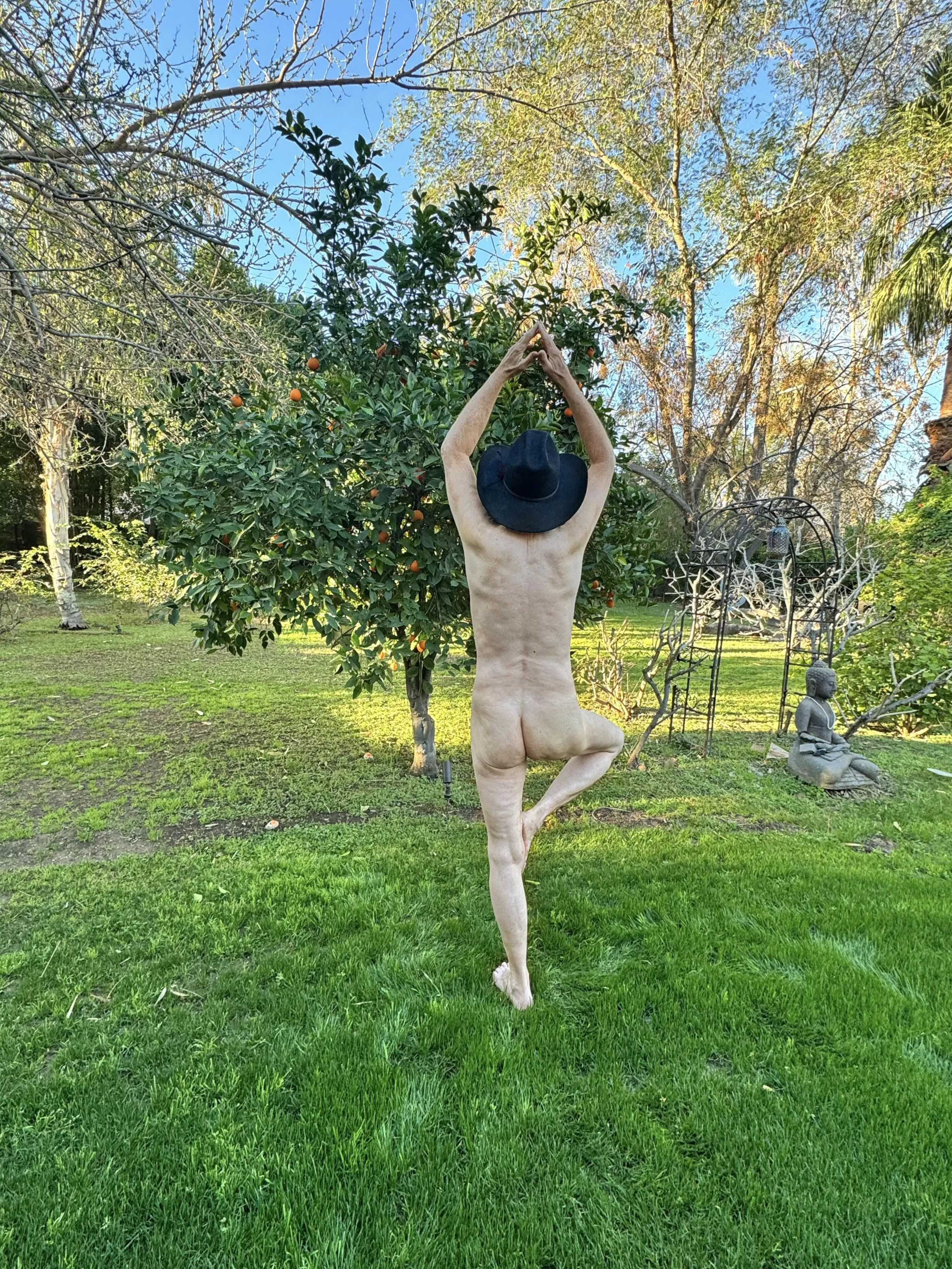 🌳Tree Pose Tuesday🌿 Morning Yoga posted by Fickle-Repair486