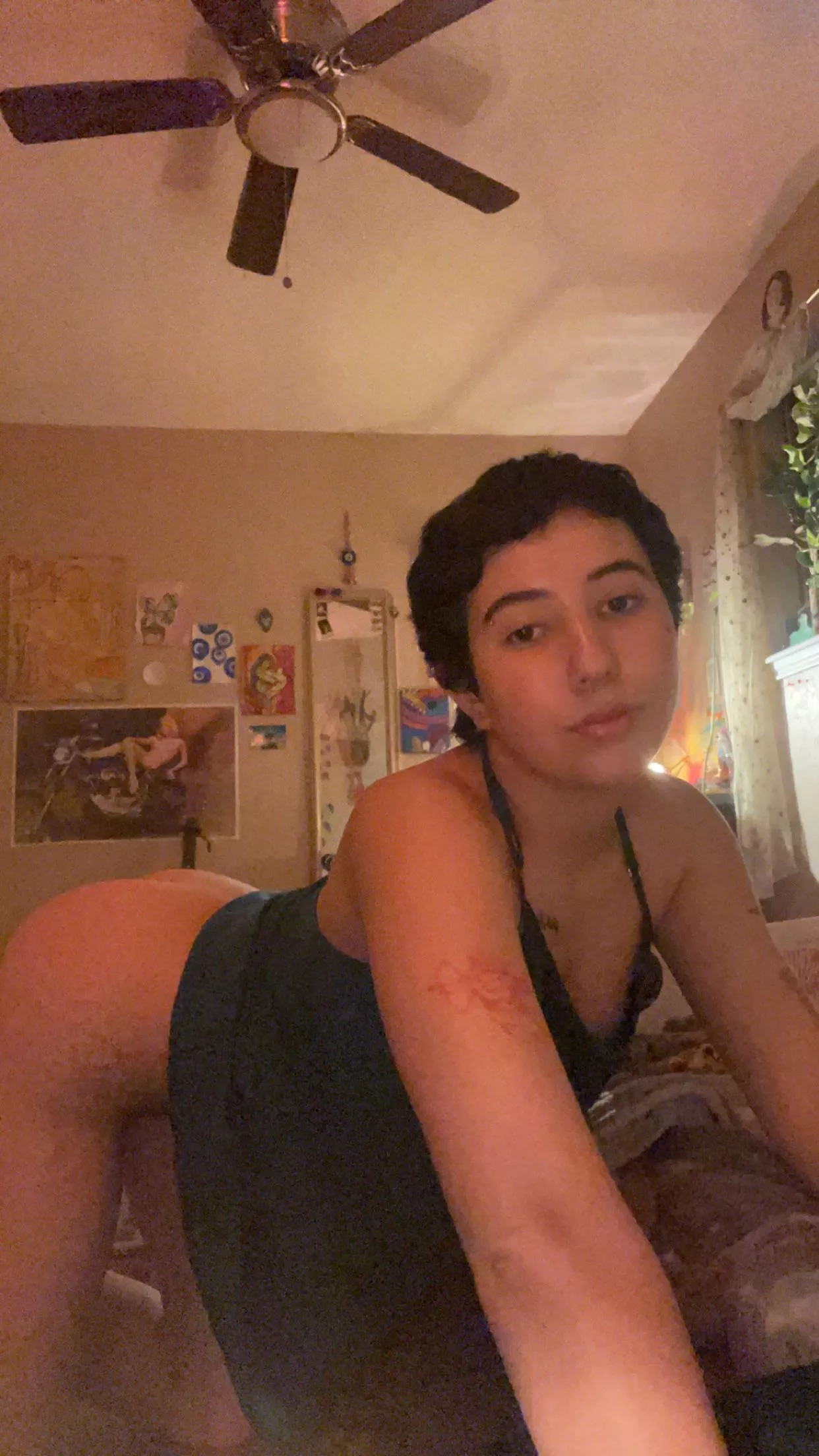 Twinkerbell 🧚 posted by Ouidjar