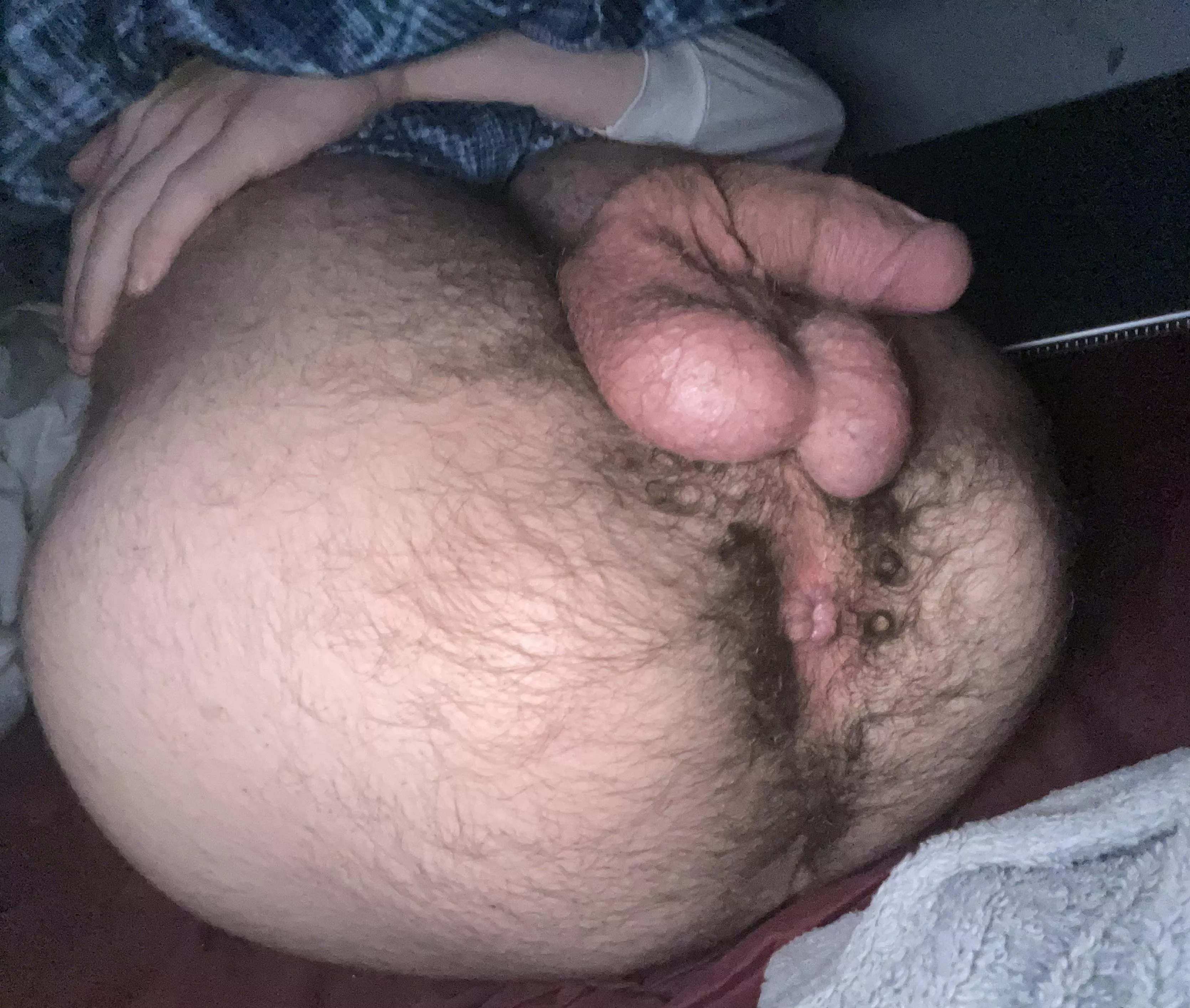 Wanna eat my hairy boy hole? 😜 posted by jfs888222
