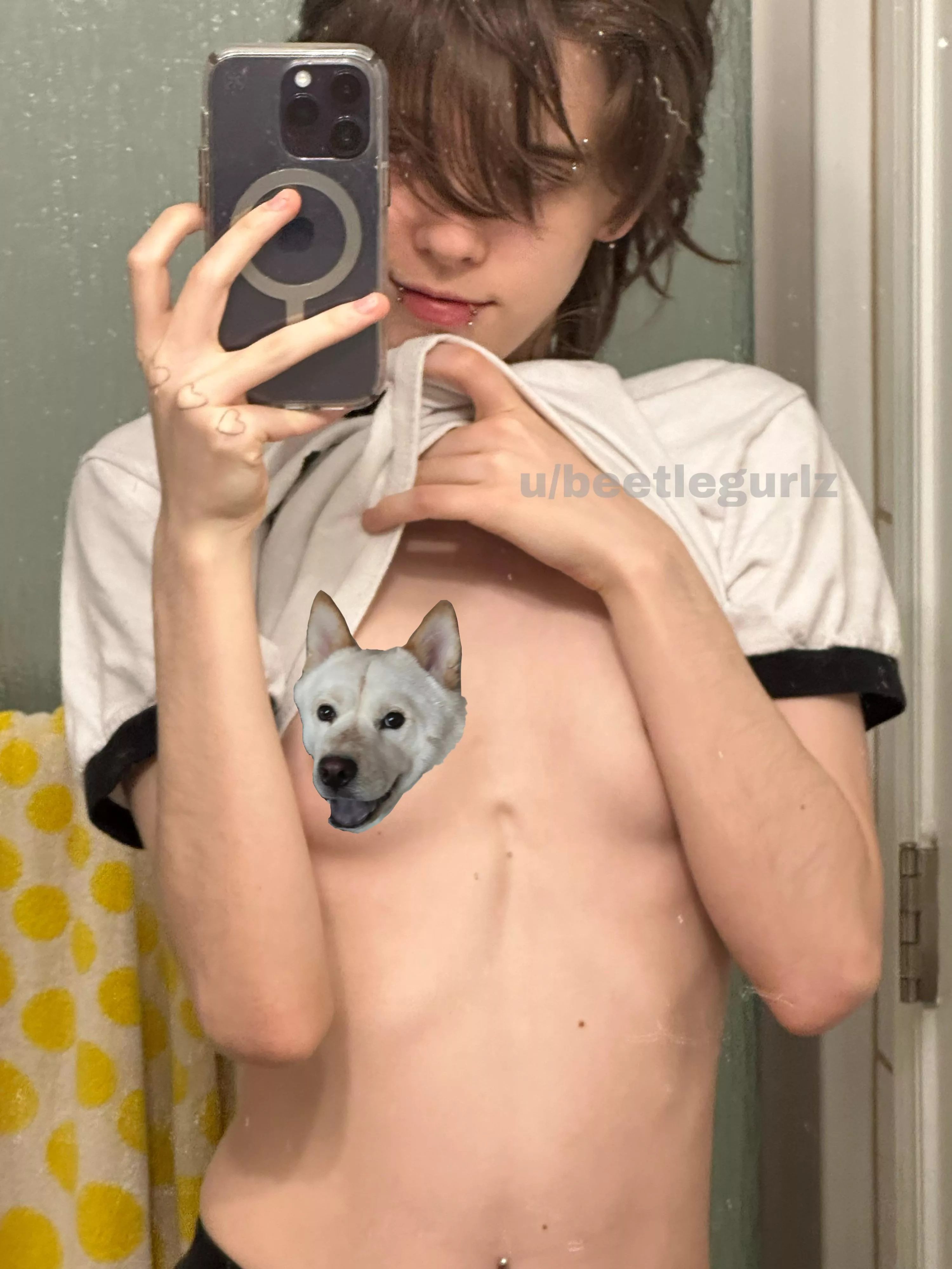 woof posted by beetlegurlz