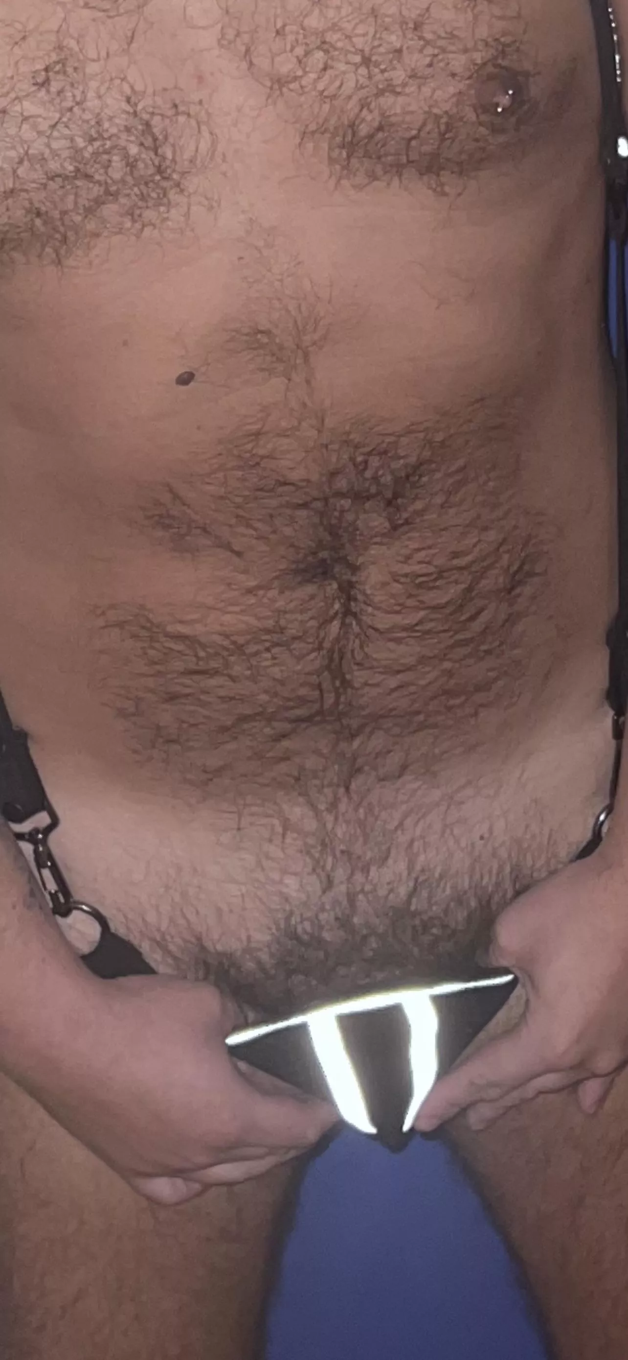 33 hairy otter who likes it  posted by Hrpl85