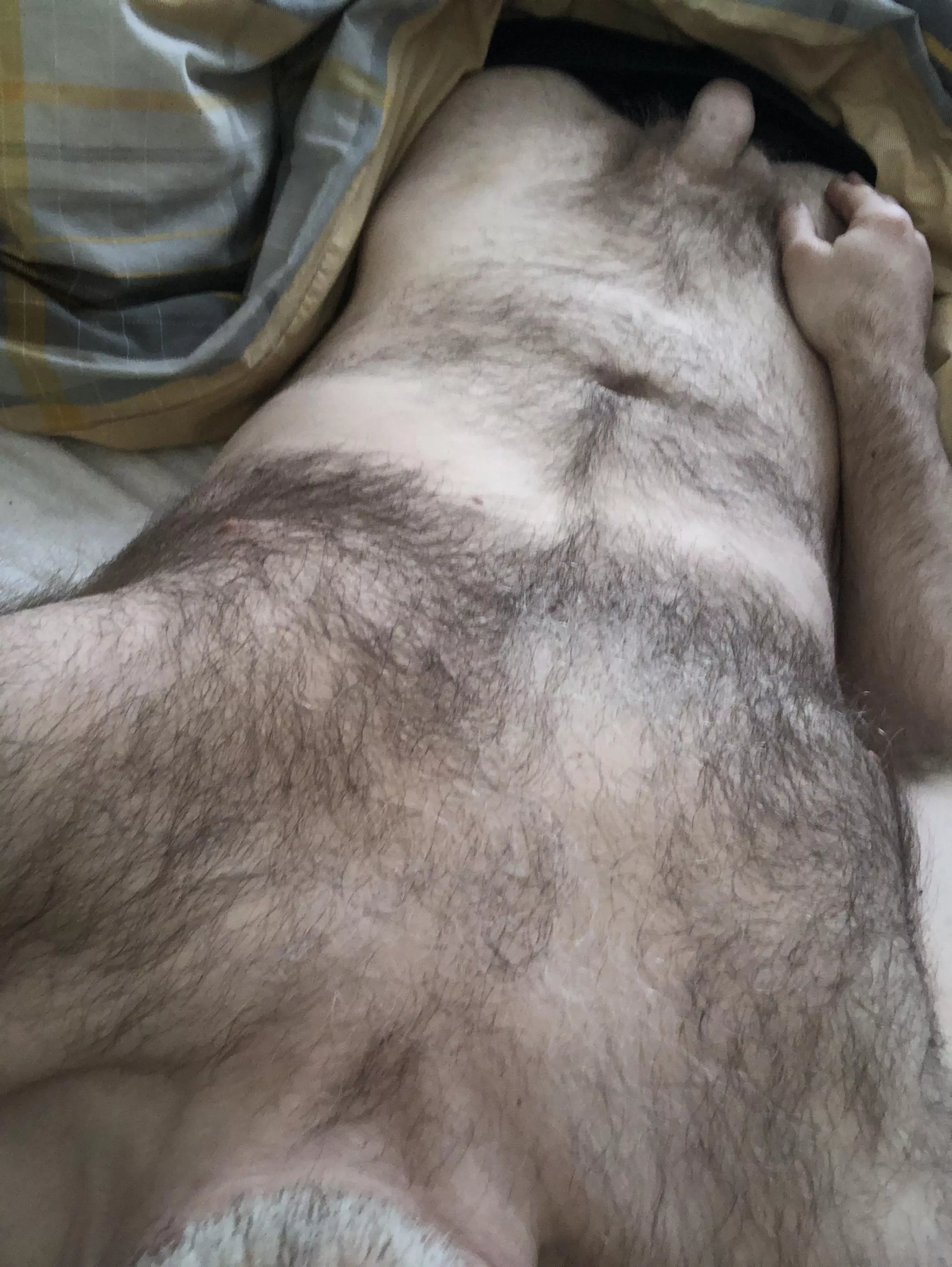 [48] English silver Fox posted by Mrsparkles7100