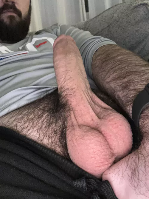 Bro! It’s Hump Day! [33] by Midwestdad696