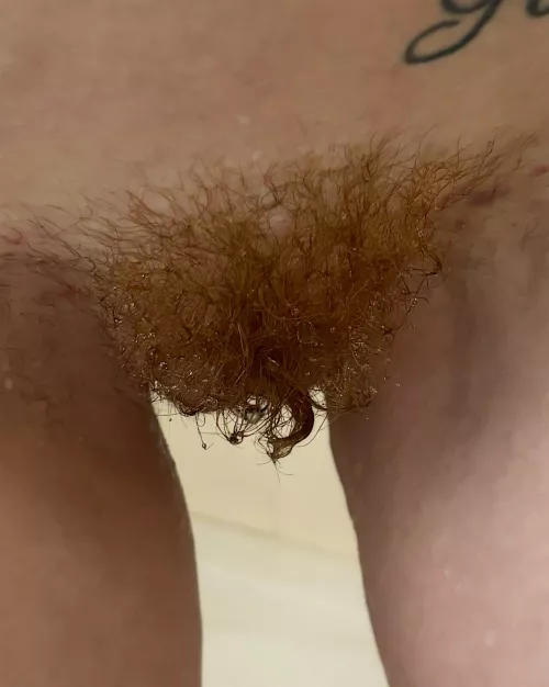 curly Q kitty 😏 by redhotpearlx