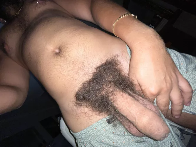 Dick without cuts, thick bush, smell of male, hairy balls by Western-Ad-7803