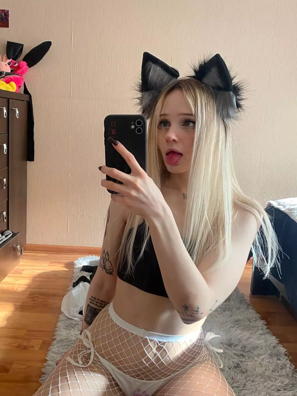 do you think I'd be a good cat for you posted by GreyShelter