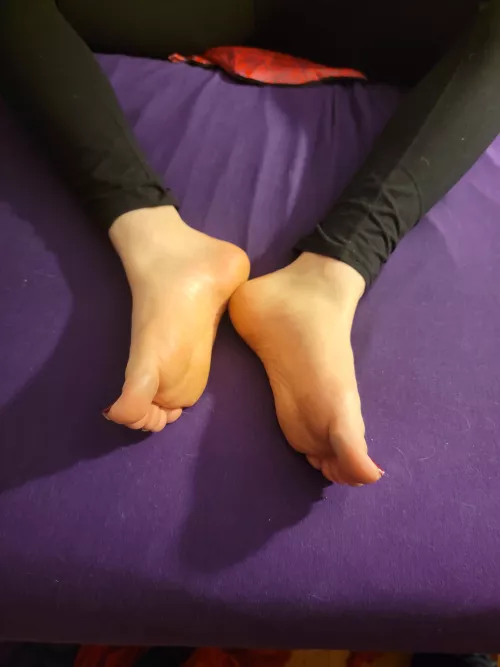 Don't they just look so soft and inviting? 😘 by catasticNya