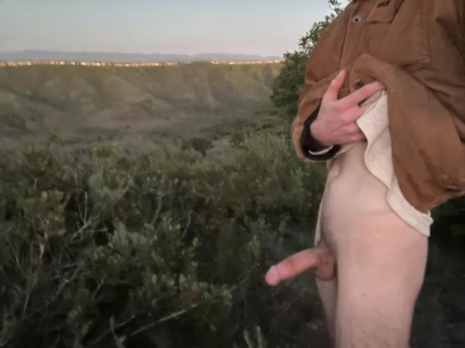 Flash at popular lookout spot by walrus_vasectomy